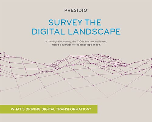 SURVEY THE DIGITAL LANDSCAPE