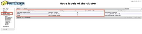 Resource manager console hadoop node labeling