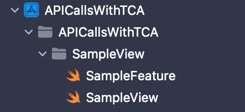 Optional Folder Structure