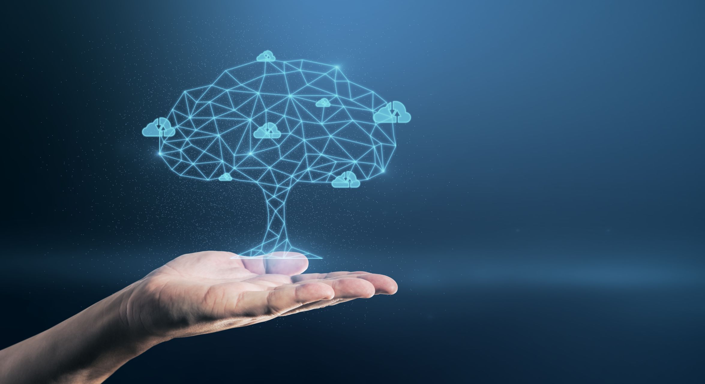 Cloud professional holding an abstract cloud environment