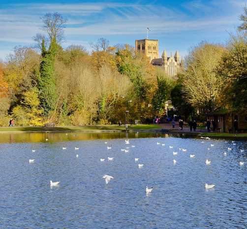 global herts st albans