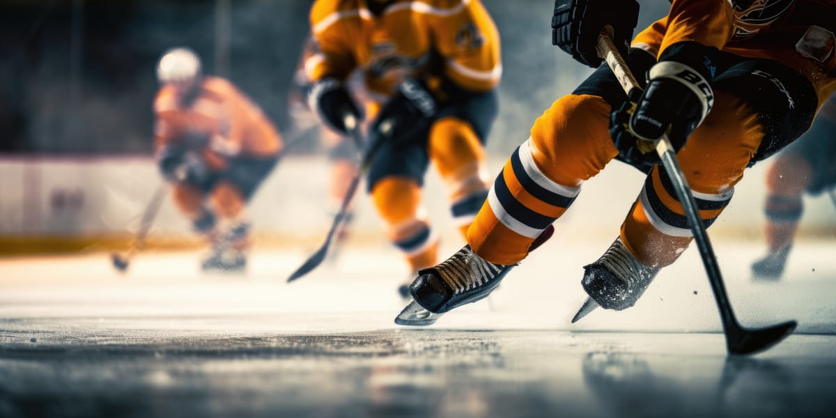 national hockey league